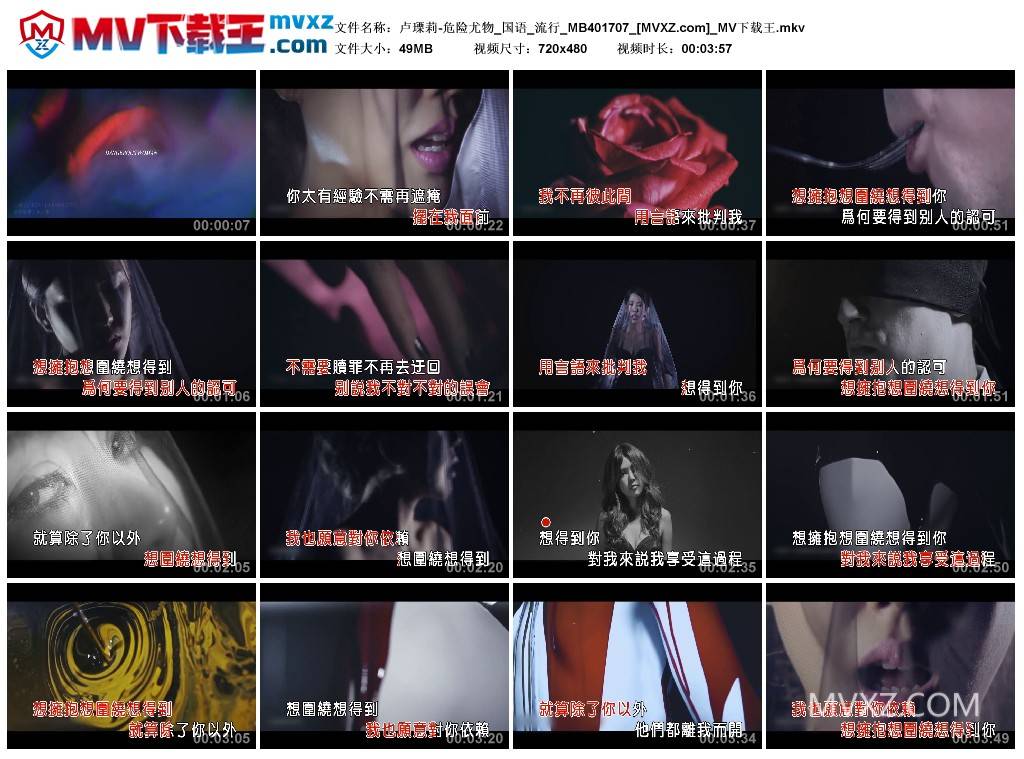 卢瑮莉-危险尤物_国语_流行_MB401707